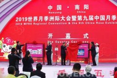 世界最大——南阳世界月季大观园华丽开园（图）