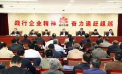 集团公司召开专题教育推进会暨第二轮巡察工作动员部署会