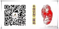 县领导现场观摩金彩山酒文化产业园文创展示区项目